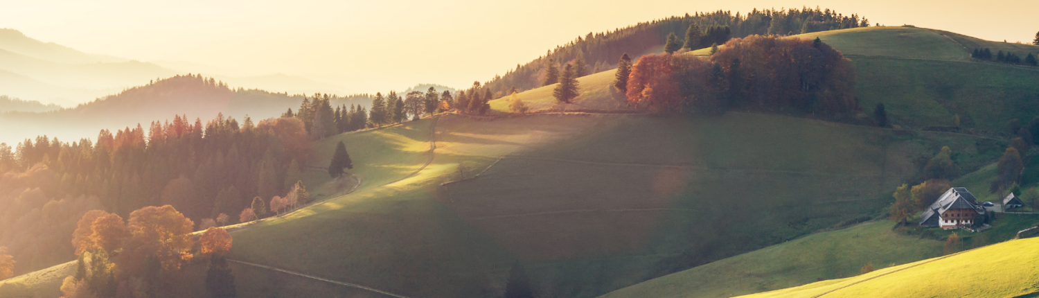 Schönheit und Lebensqualität von Südbaden